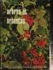 "Arbres et arbustes (Collection ""Petit Atlas de poche Payot"", n°11)". Brodbeck Ch.