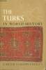 The Turks in World History. Vaughn Findley Carter