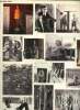 Cecil Beaton - Photgraphies, 1920-1970. Garner Philippe, Mallor David Allan