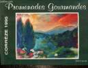 Promenades Gourmandes - Corrèze 1995. Collectif