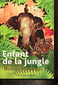 Enfant de la jungle