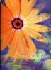 Catalogue : Jeunes plants, printemps 2003-2004. Collectif