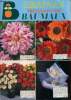 Lot de 2 catalogues : Graines Baumaux Printemps 2003 et Boumotte jeunes plants printemps 2003. Collectif