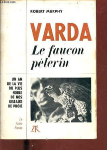 Varda le faucon pèlerin - Un an de la vie du plus noble de nos oiseaux de proie.