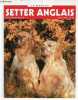 La revue du Setter Anglais revue officielle du club n&deg;68 f&eacute;vrier 2005 - Infos - toujours d'actualit&eacute; - grille de s&eacute;lection - liste trialers - proc&egrave;s ...