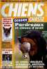Chiens de chasse n°99 septembre 1997 - Infos - armes - champions - photos des lecteurs - 3 chiens au jour le jour - dossier Perdreaux : perdrier, ...