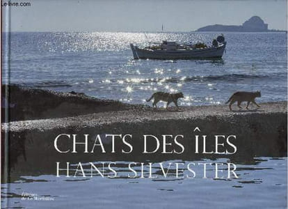 Chats des îles.