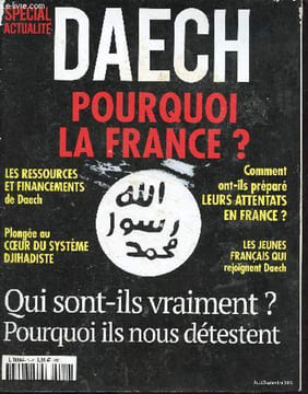 Spécial actualité Daech août/septembre 2016 - Naissance de Daesh - d'où vient l'état islamique et comment s'est il développé ? - qui sont ils vraiment ...