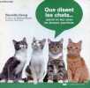 Que disent les chats ... quand on leur pose les bonnes questions.. De Clercq Flore