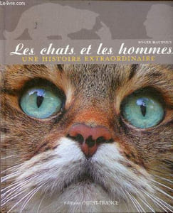 Les chats et les hommes - Une histoire extraordinaire.