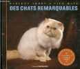 Des chats remarquables - portraits de chats de race.. Arden Darlene & Mays Nick