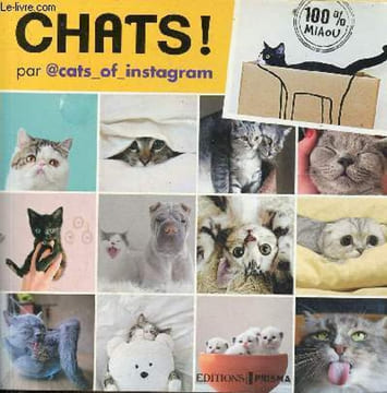 Chats ! - 100 % miaou.. cats of instagram