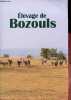 Elevage de Bozouls - Les chevaux pur-sang arabes de Marcel Mezy - édition 2021.. Delesque Estelle & sources elevage de Bozouls