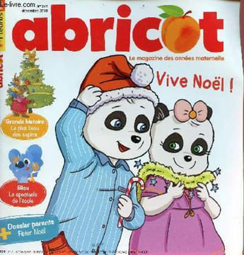 Abricot n°349 décembre 2018 - Coquin de Blou le spectacle de noël - Titou à sommeil - la plus belle décoration de noël - le marché de noël - pourquoi ...
