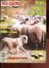 Vos chiens magazine n°69 septembre 1990 - Chiens de bergers championnat 90 - cherchez un correspondant - chronique juridique - notes de races : des ...