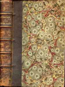 Autour d'une tiare 1075-1085 - Collection Bibliothèque de romans historiques - 2e édition.