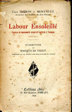 Labour ensoleillé. Esquisse du Mouvement corporatif agricole à Toulouse (1885 -1911). THERON DE MONTAUGE Louis