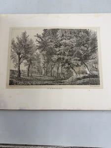 Vues et sites pittoresques de Roanne et ses environs. dessinés et lithographiés par Louis Noirot. 1870-1871