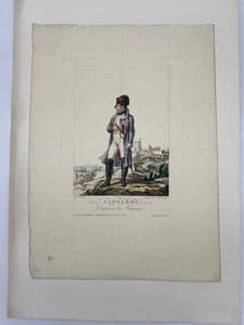 Napoléon. Empereur des français