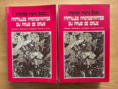 Familles protestantes du Pays de Caux. Levesque - Besselièvre - Lemai(s)tre - Fauquet et autres