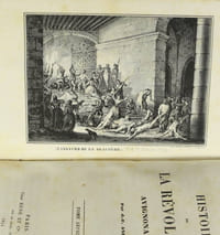 Histoire de la révolution avignonaise