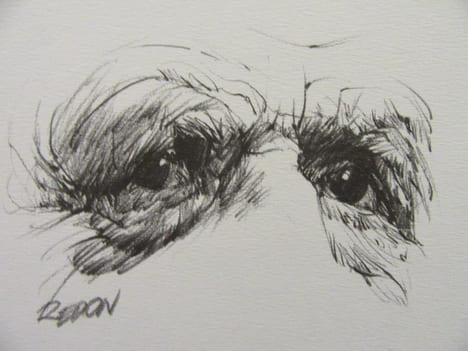 De Gaulle vous regarde. REDON (Jacky)
