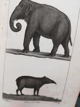 Oeuvres  Complètes de Buffon par Mr.le Comte de Lacépède.  20 volumes.. BUFFON    ( Comte Louis  Le  Clerc.)    -   Comte de   LACEPEDE.