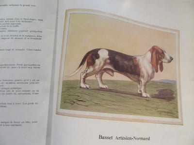 Tous  Les  Chiens. 2 vols.