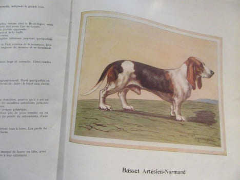 Tous Les Chiens. 2 vols.. HEUILLET Hubert