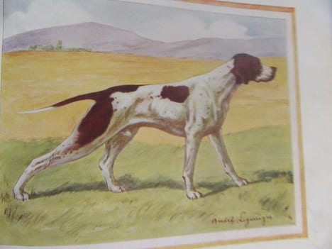 Tous Les Chiens. 2 vols.. HEUILLET Hubert