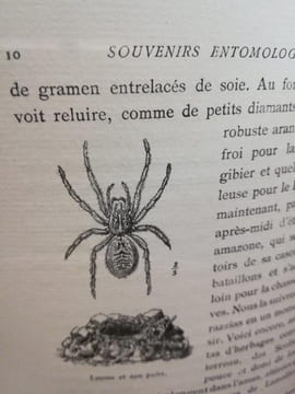 Souvenirs Entomologiques. Etudes sur l'Instinct et les Moeurs des Insectes. Edition définitive illustrée.. FABRE J.-H .