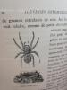Souvenirs Entomologiques.  Etudes sur l'Instinct et les Moeurs des Insectes. Edition définitive illustrée.. FABRE     J.-H .