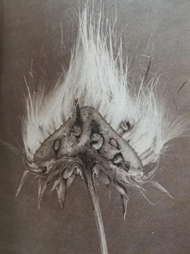 Souvenirs Entomologiques. Etudes sur l'Instinct et les Moeurs des Insectes. Edition définitive illustrée.. FABRE J.-H .