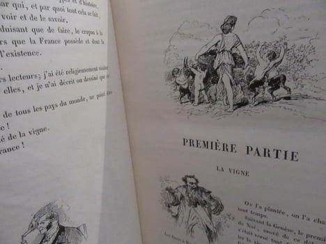 La Vigne. Voyage autour des Vins de France. BERTALL