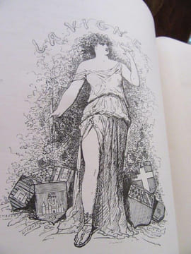 La Vigne. Voyage autour des Vins de France. BERTALL