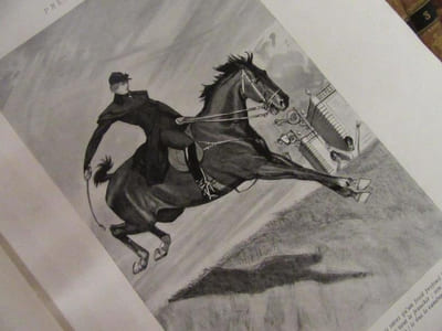 L' Aiglon