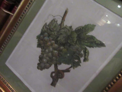 Nature morte.Grappe de raisin .