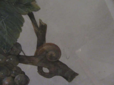 Nature morte.Grappe de raisin .