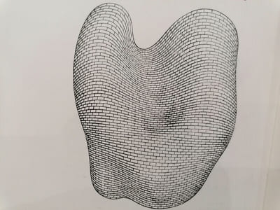 Petite anatomie de l'inconscient physique ou l'anatomie de l'image