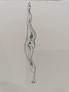 Petite anatomie de l'inconscient physique ou l'anatomie de l'image