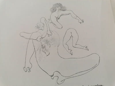 Petite anatomie de l'inconscient physique ou l'anatomie de l'image