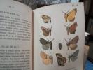Faune Entomologique française.  Lépidoptères.  Description de tous les Papillons.  5 vols.. BERCE   M.E.