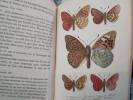Faune Entomologique française.  Lépidoptères.  Description de tous les Papillons.  5 vols.. BERCE   M.E.
