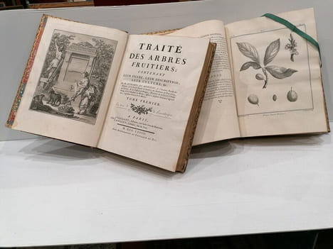 TRAITE DES ARBRES FRUITIERS. M.Duhamel Du Monceau