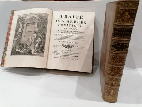 TRAITE DES ARBRES FRUITIERS. M.Duhamel Du Monceau