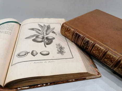 TRAITE DES ARBRES FRUITIERS. M.Duhamel Du Monceau