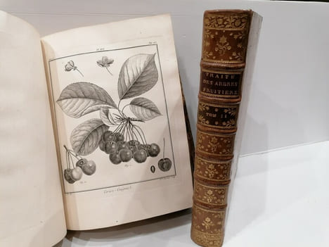 TRAITE DES ARBRES FRUITIERS. M.Duhamel Du Monceau