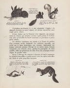 Trois quarts de siècle de Fourrure à Paris. 1874-1949.  par TOLMER. JUNGMANN-FOURRURES.  CARLET, HARCOURT, SEGUY. - Image 3