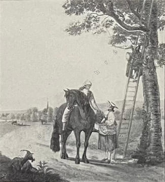 La Suisse des diligences. . GRELLET (Pierre).