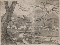 The Tragi-Comic history of the burial of Cock Robin ; With the lamentation of Jenny Wren ; The Sparrow's apprehension ; and the cuckoo's punishment. Being a sequel to the courtship, marriage, and pic-nic dinner of Robin red-breast and Jenny Wren.